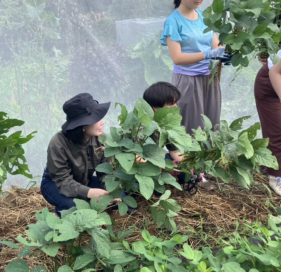 Vegetable Planting