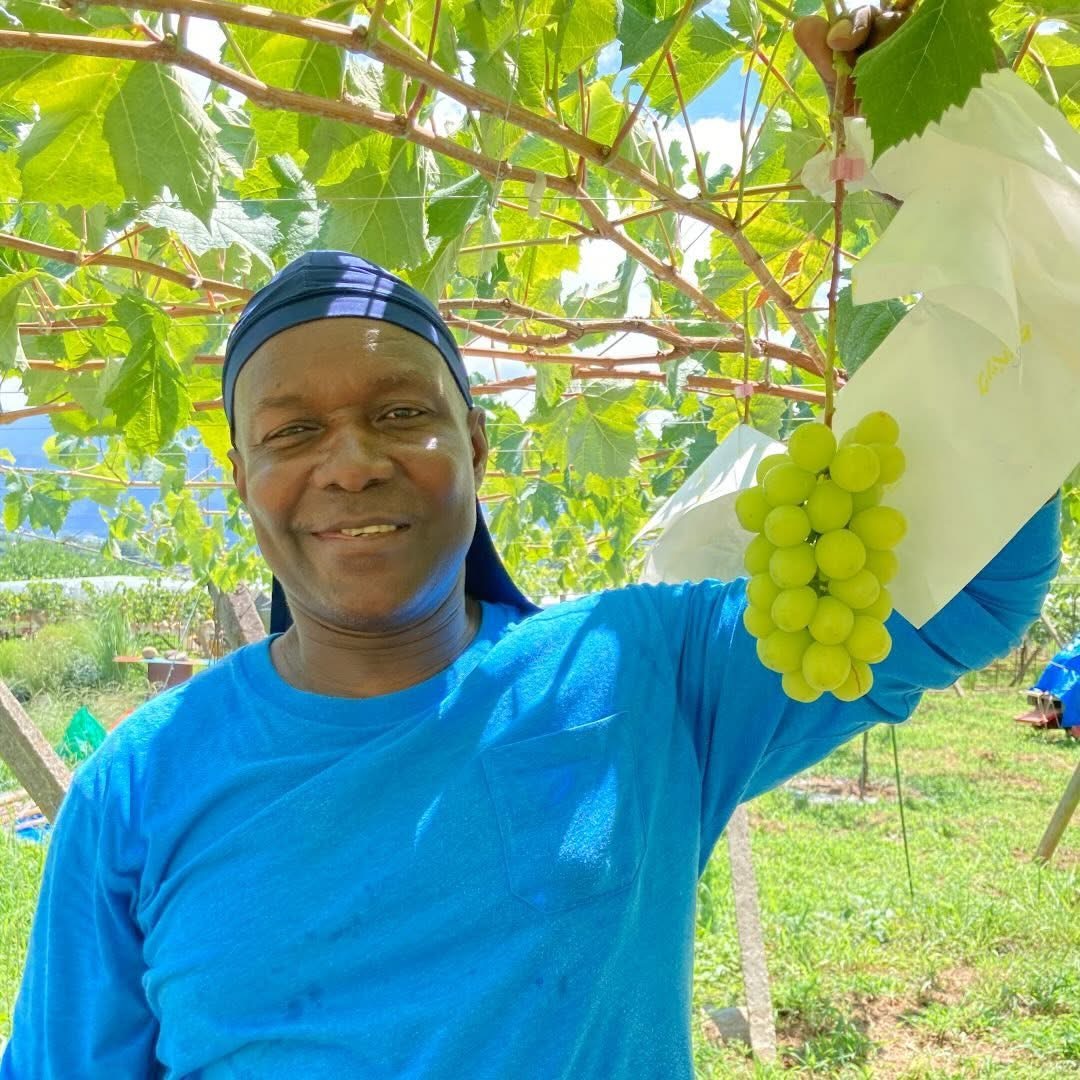 Franklin with Shine Muscat grapes